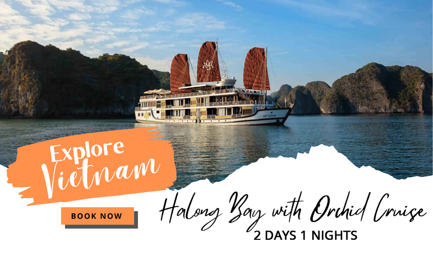 Halong Bay 2 Days 1 Night with Orchid Cruise