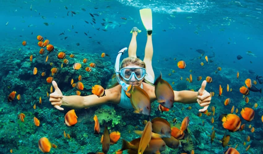Snorkeling in Cham Island Tour