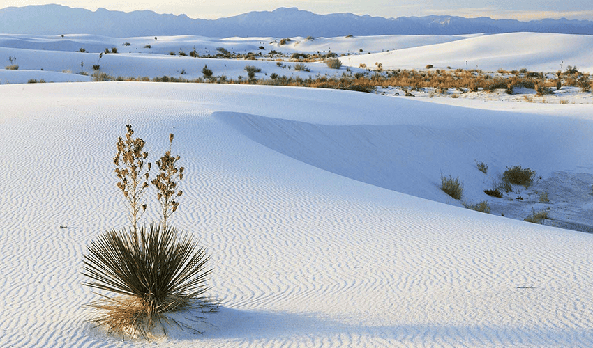 white-sand-dunes-mui-ne